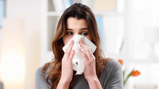 How To Tackle Allergies or a Sinus Infection Problem?